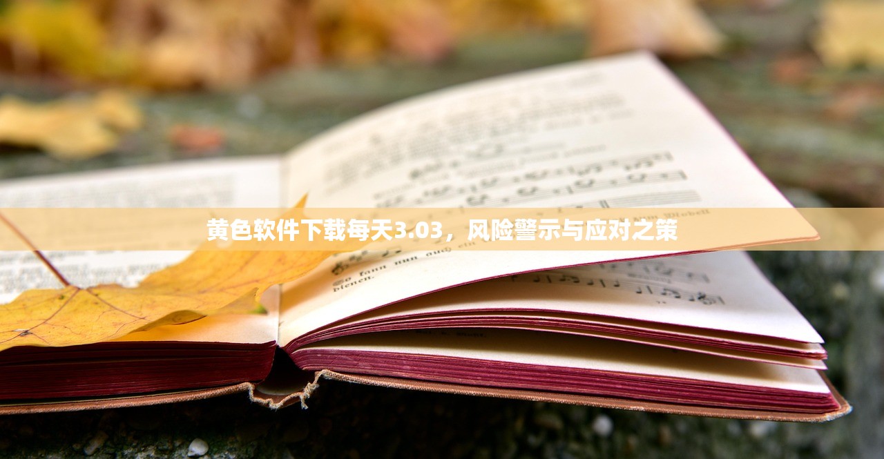 黄色软件下载每天3.03，风险警示与应对之策
