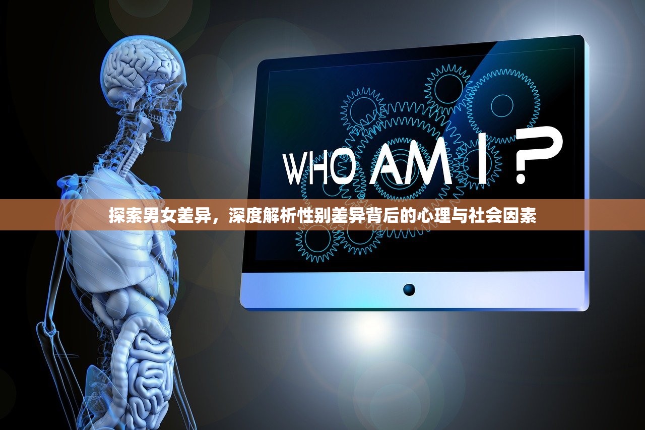 探索男女差异，深度解析性别差异背后的心理与社会因素
