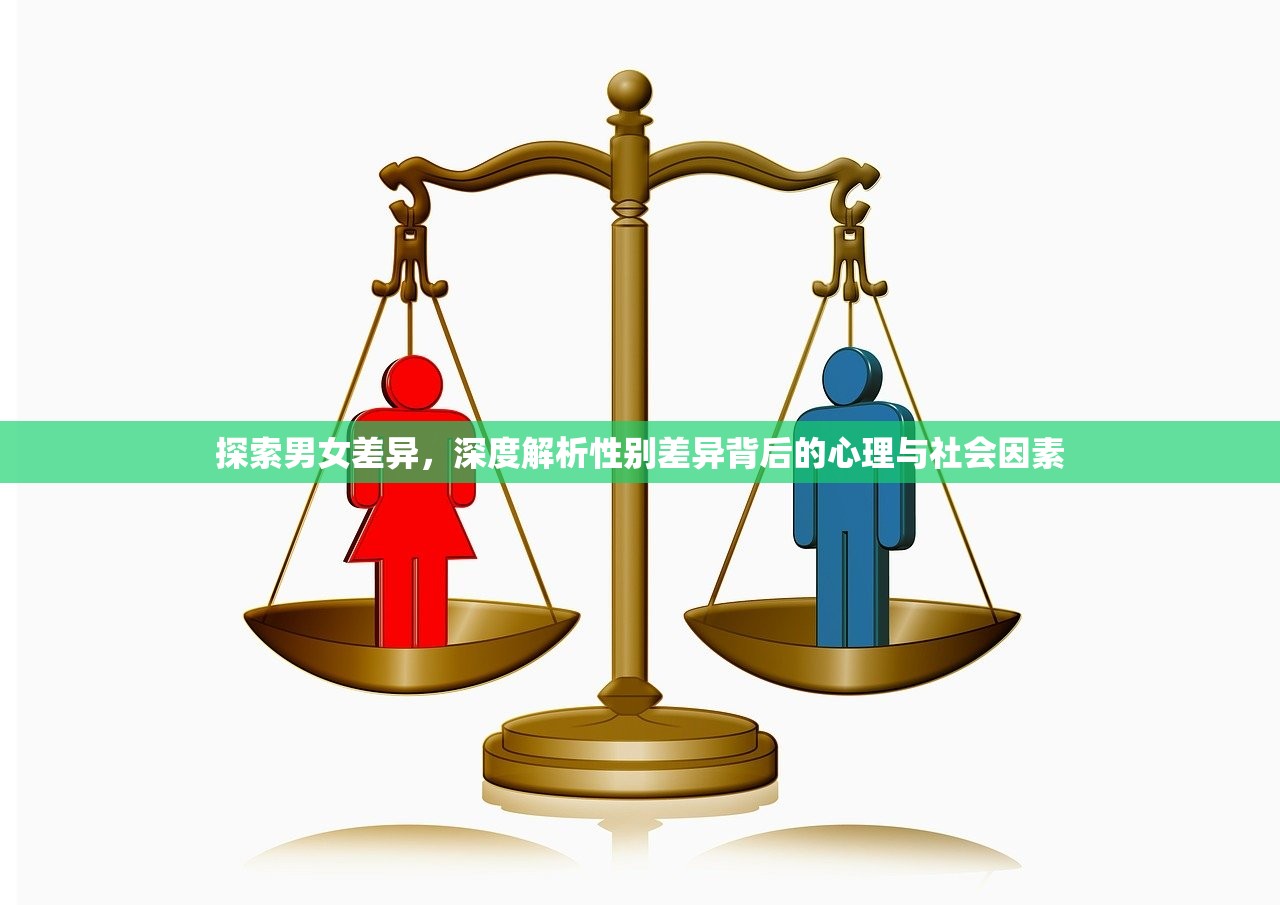 探索男女差异，深度解析性别差异背后的心理与社会因素