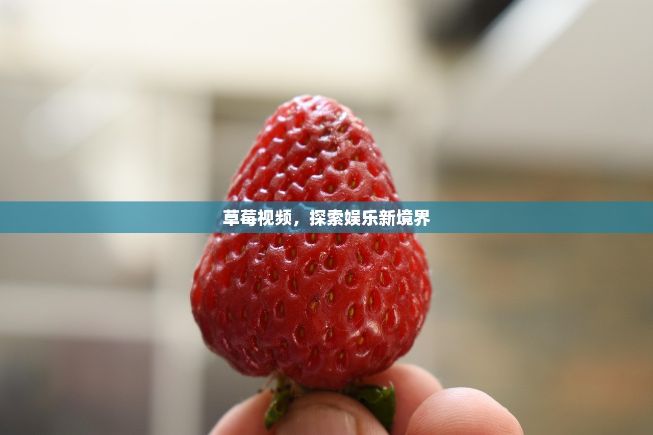 草莓视频，探索娱乐新境界