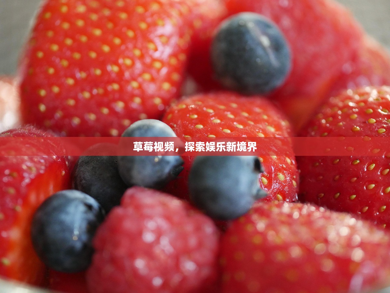 草莓视频，探索娱乐新境界