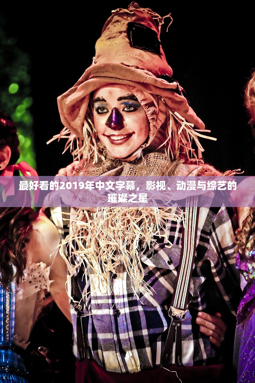 最好看的2019年中文字幕，影视、动漫与综艺的璀璨之星