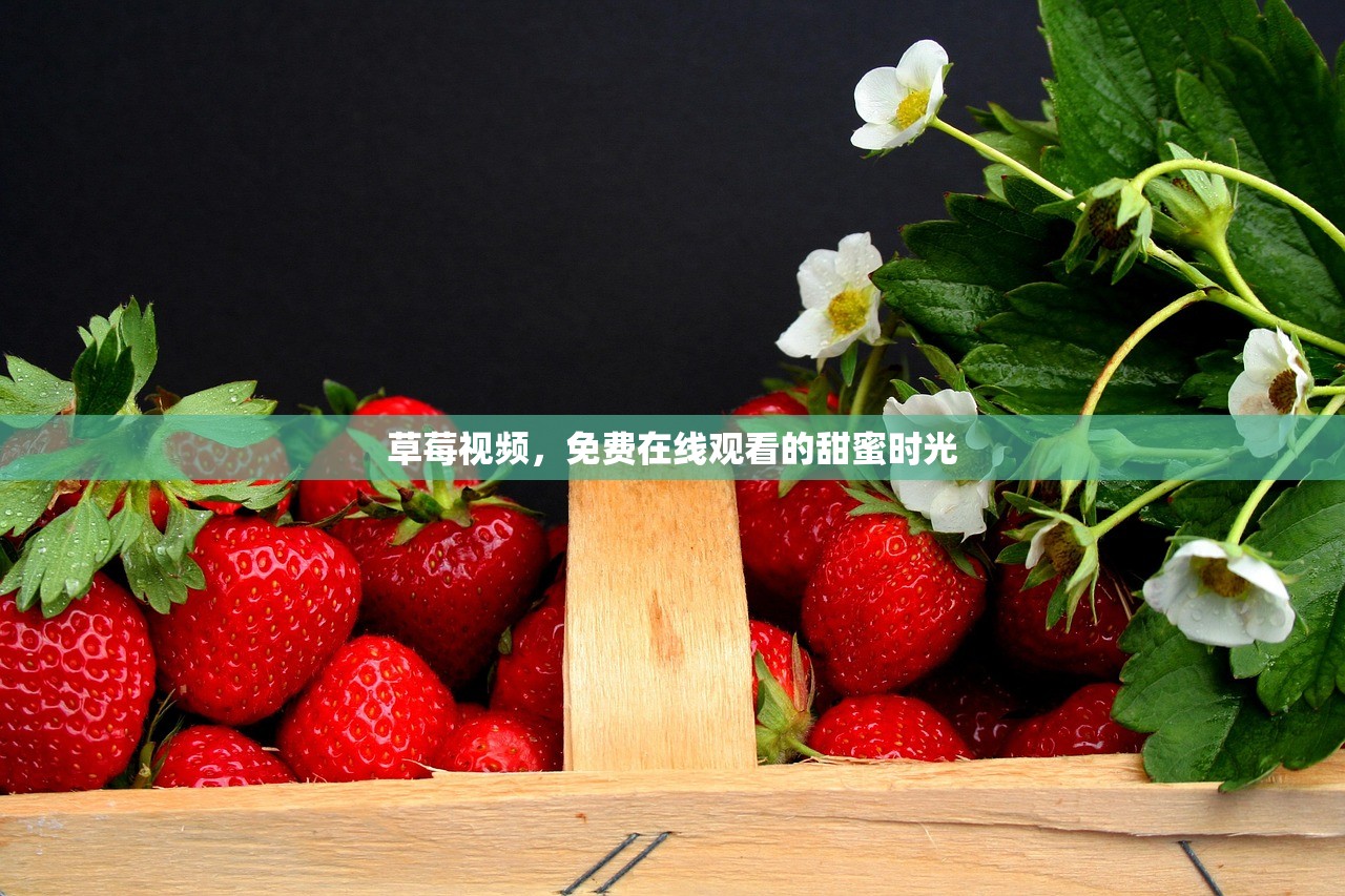 草莓视频，免费在线观看的甜蜜时光