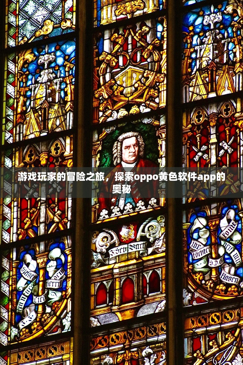 游戏玩家的冒险之旅，探索oppo黄色软件app的奥秘