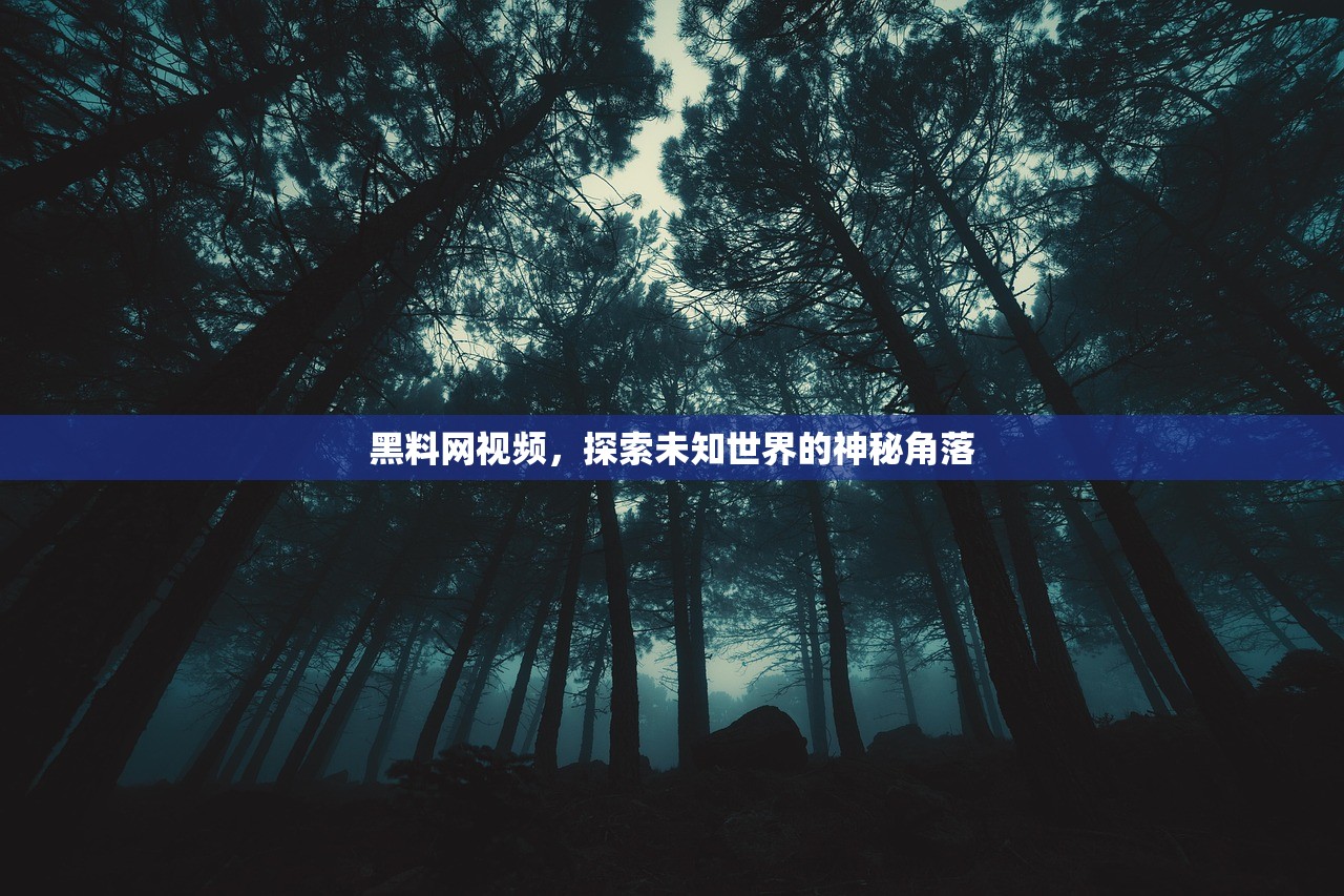 黑料网视频，探索未知世界的神秘角落