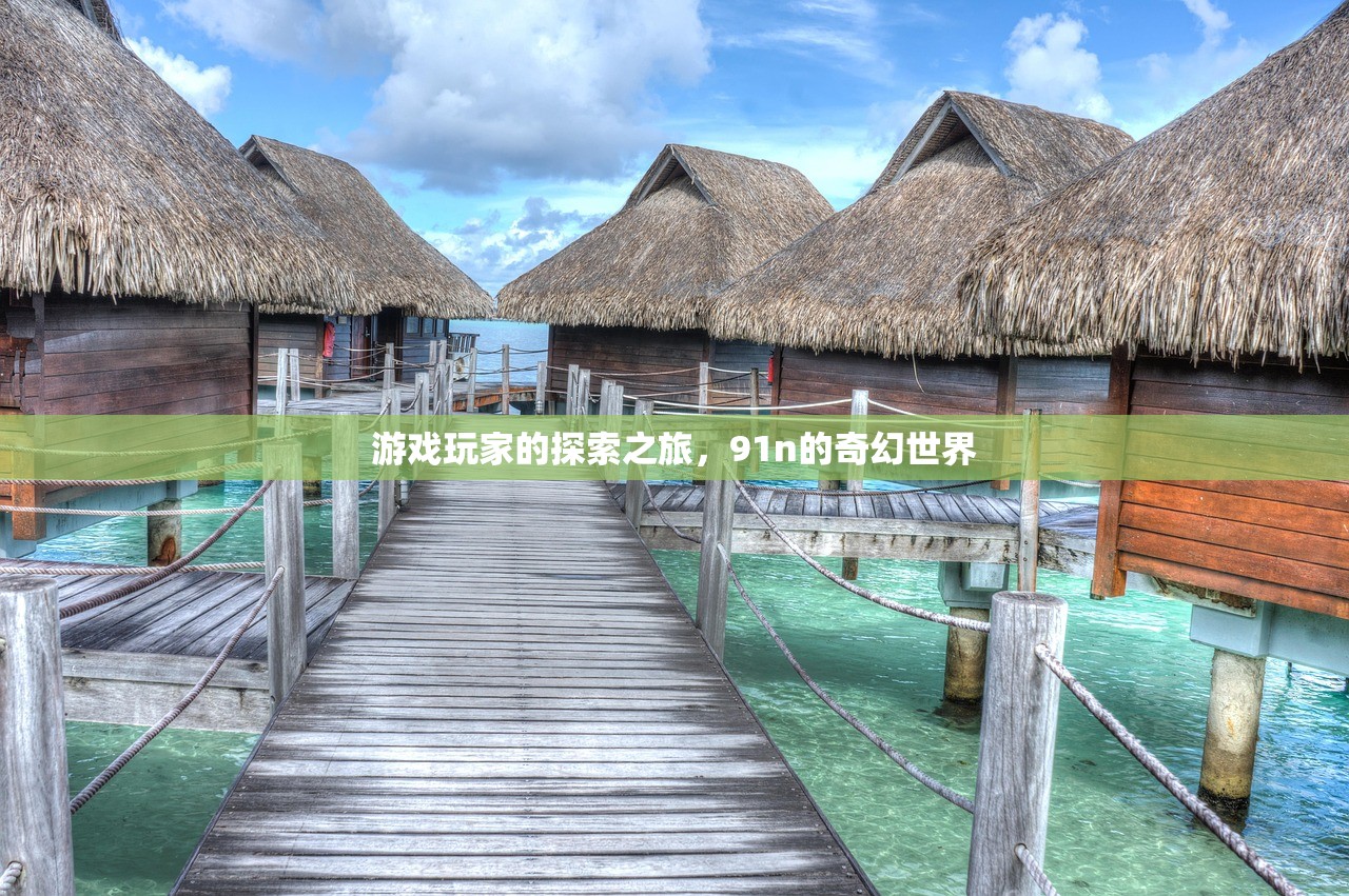 游戏玩家的探索之旅，91n的奇幻世界