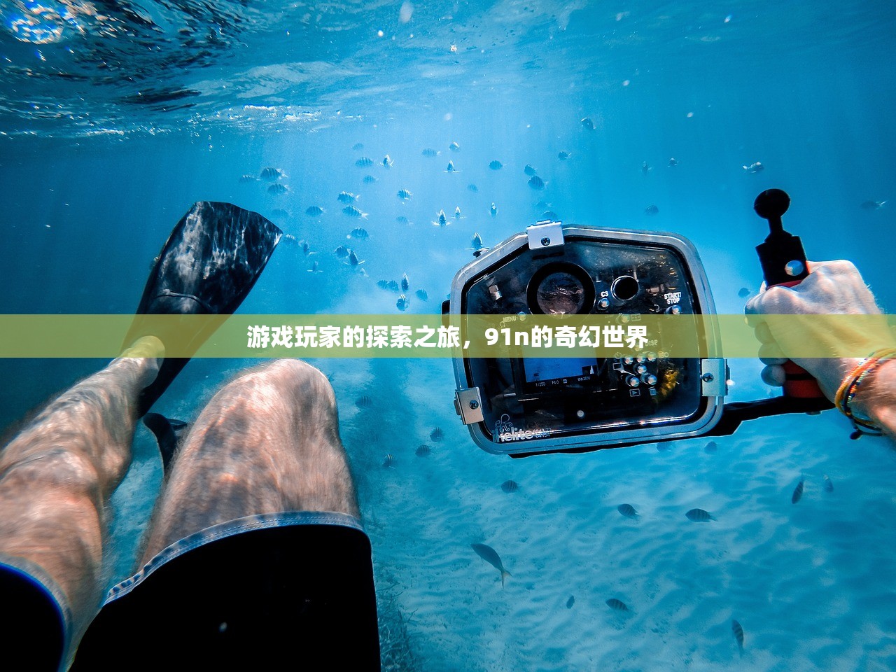 游戏玩家的探索之旅，91n的奇幻世界