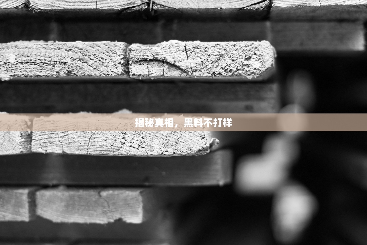 揭秘真相，黑料不打样
