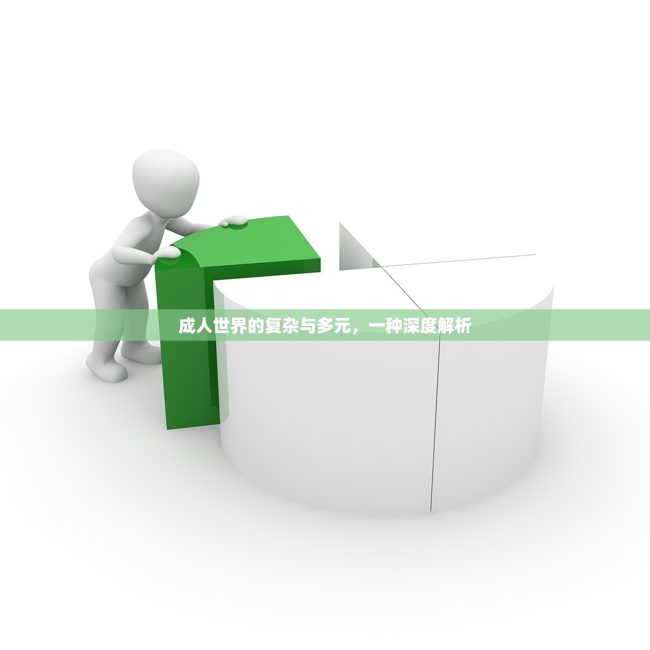 成人世界的复杂与多元，一种深度解析