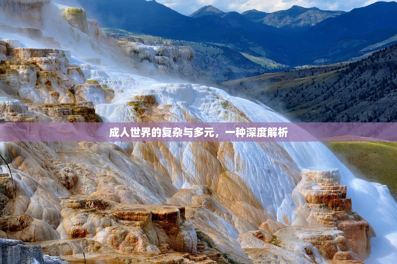 成人世界的复杂与多元，一种深度解析