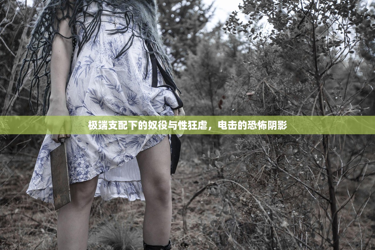 极端支配下的奴役与性狂虐，电击的恐怖阴影