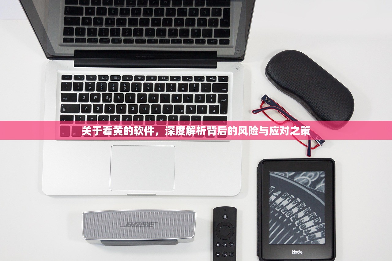 关于看黄的软件，深度解析背后的风险与应对之策