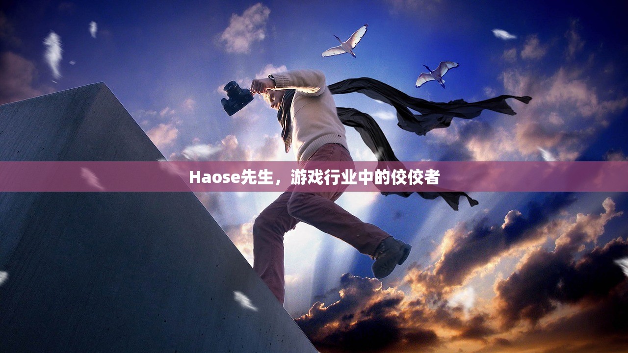 Haose先生，游戏行业中的佼佼者