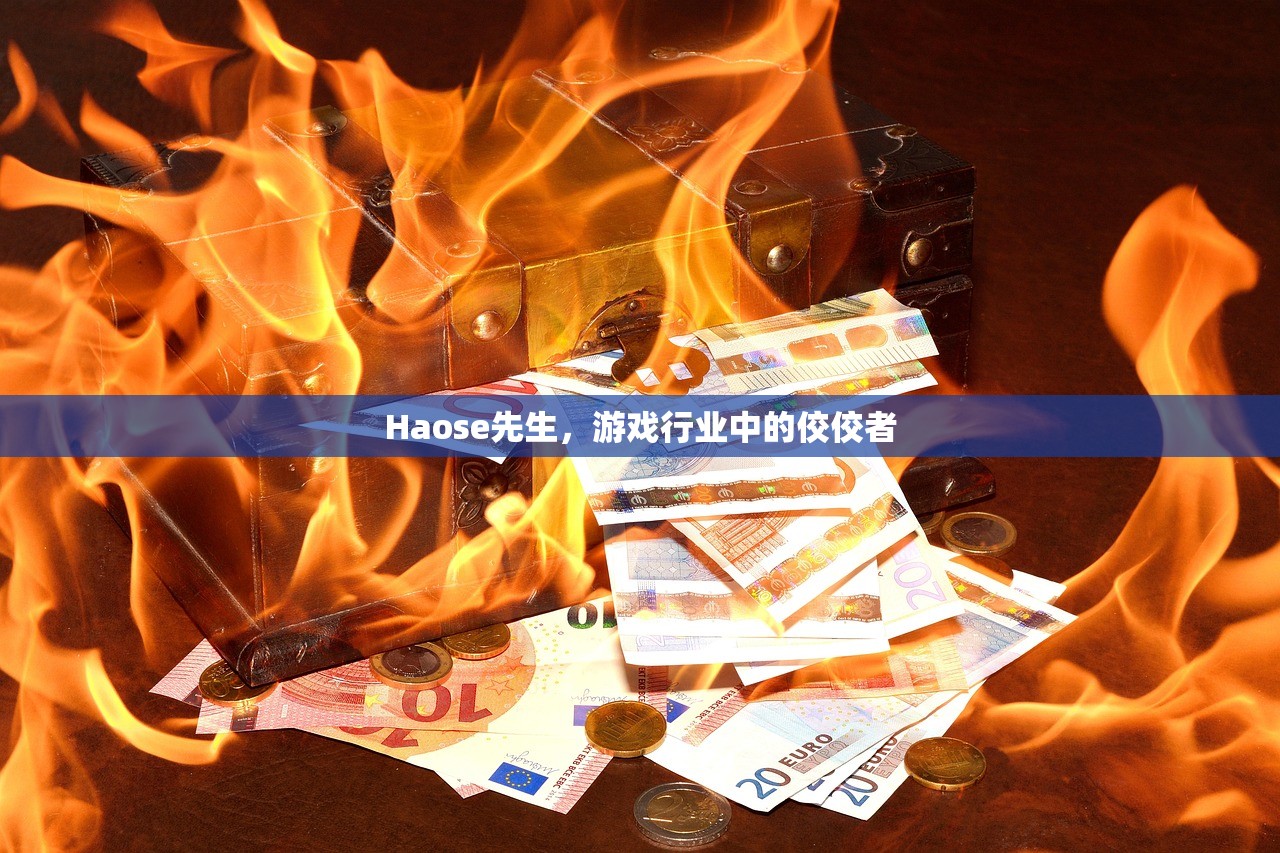 Haose先生，游戏行业中的佼佼者
