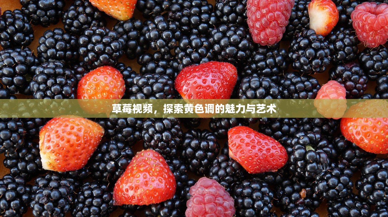 草莓视频，探索黄色调的魅力与艺术