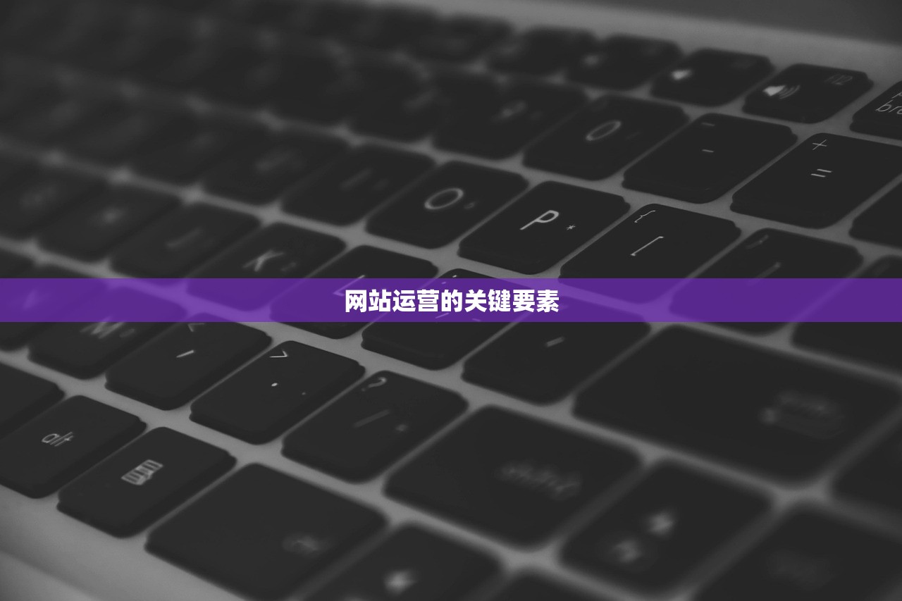 网站运营的关键要素