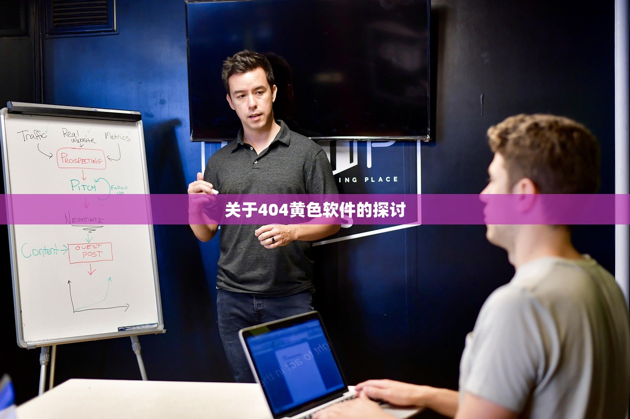 关于404黄色软件的探讨