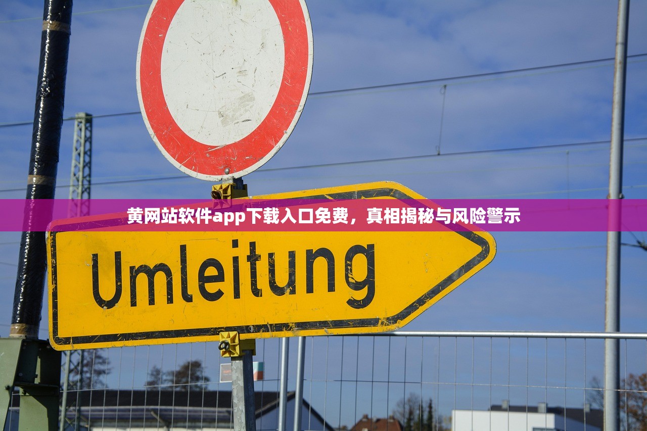黄网站软件app下载入口免费，真相揭秘与风险警示