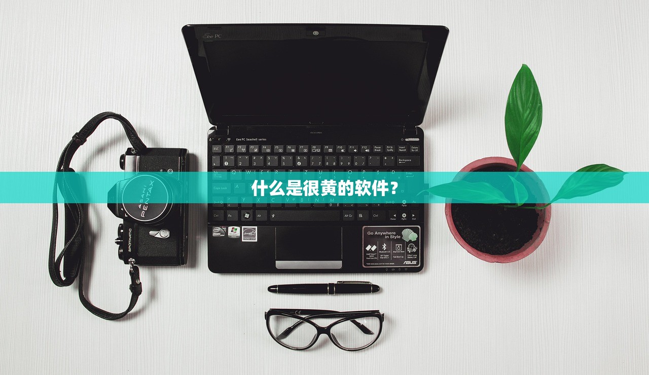 什么是很黄的软件？