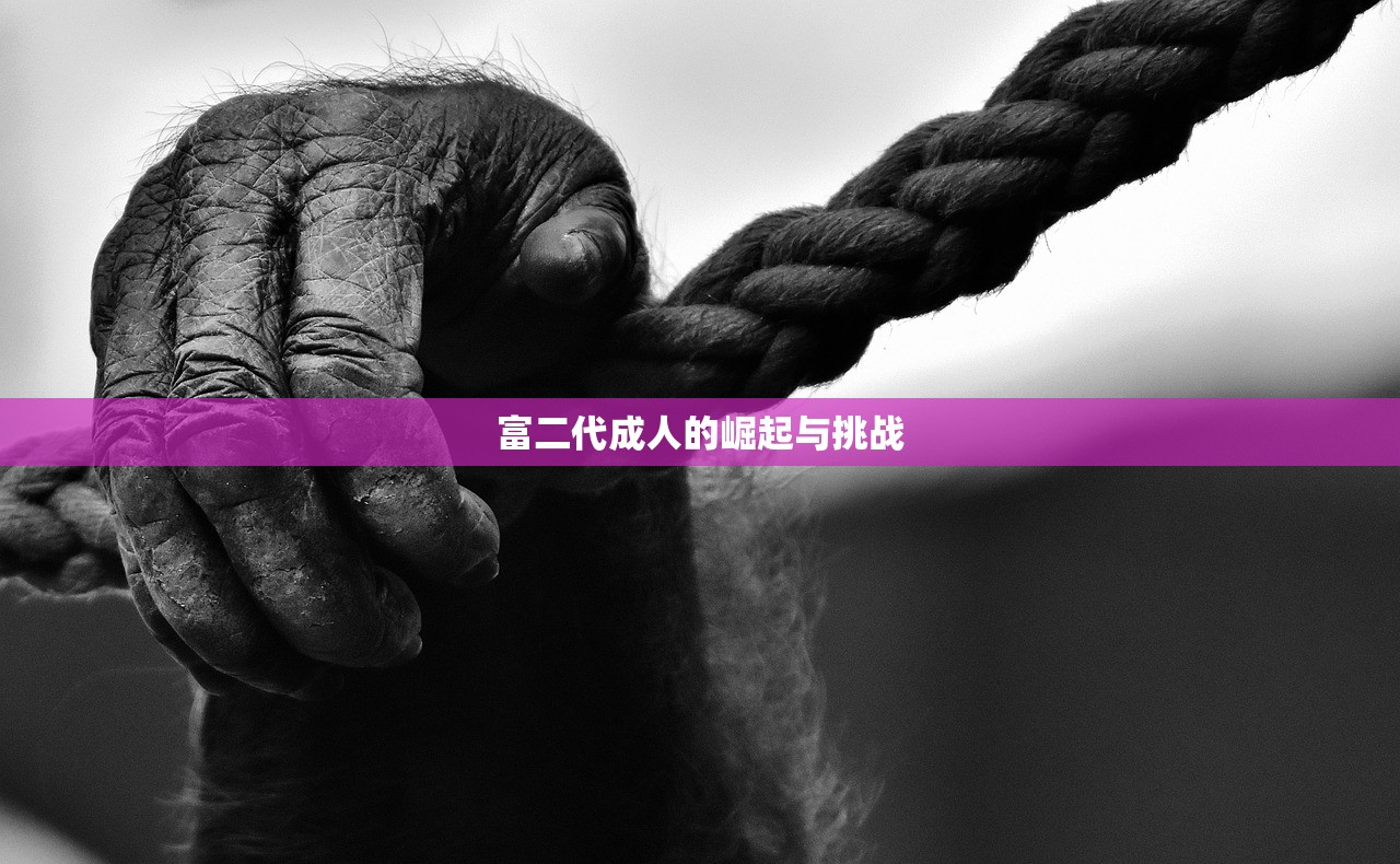 富二代成人的崛起与挑战