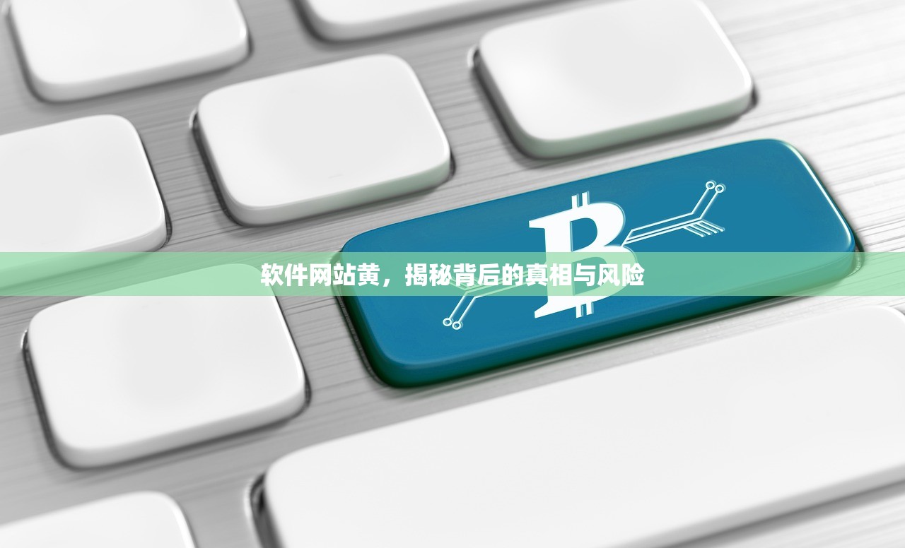 软件网站黄，揭秘背后的真相与风险