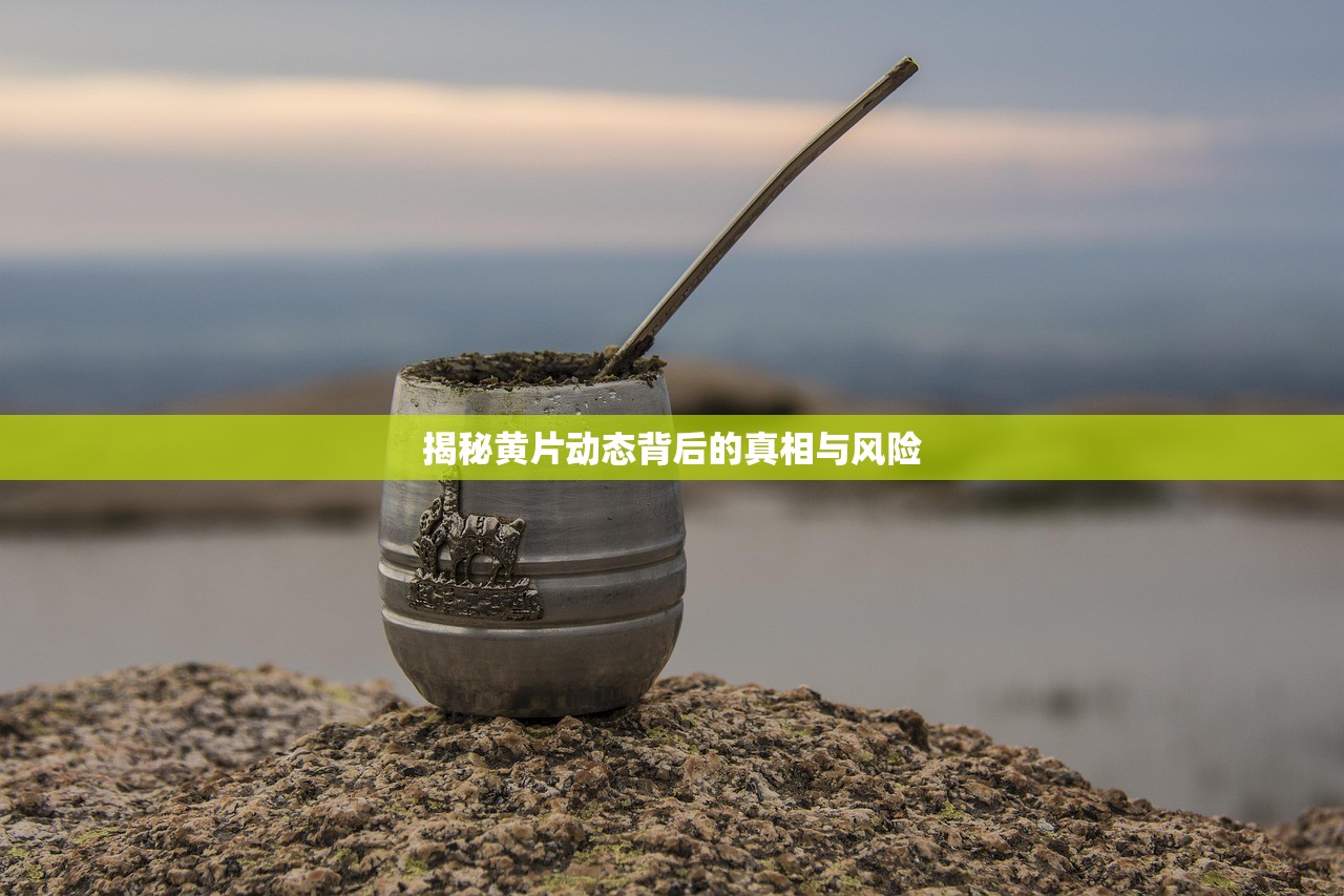 揭秘黄片动态背后的真相与风险