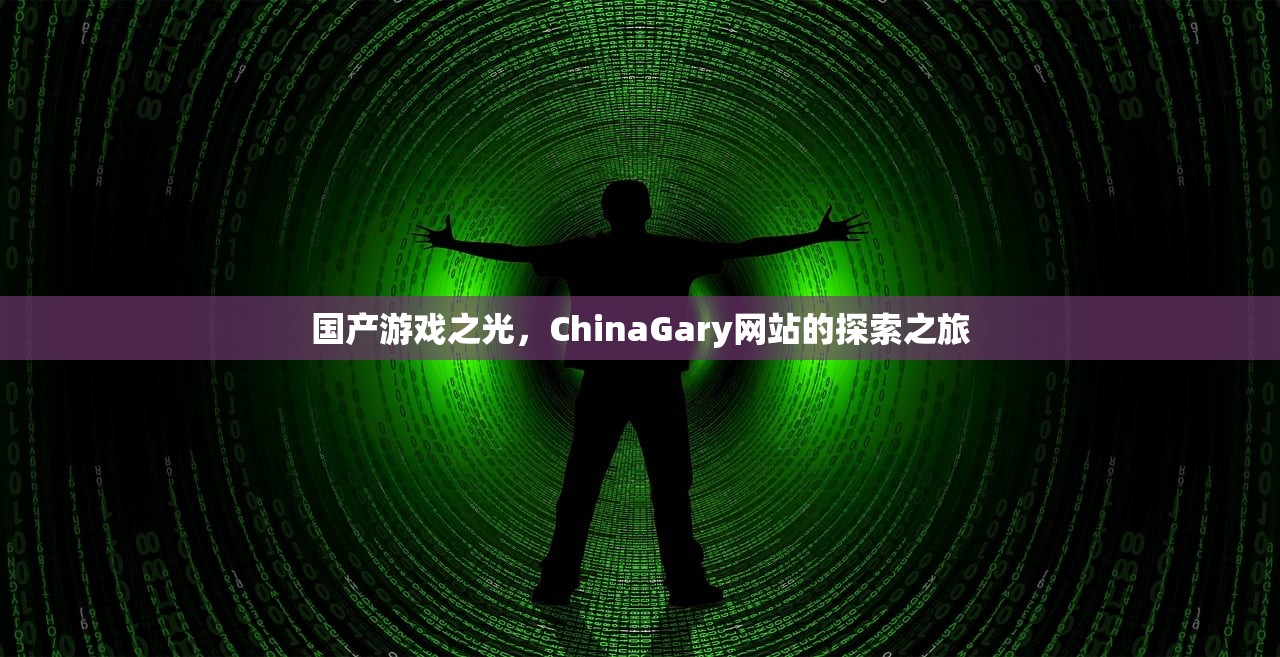 国产游戏之光，ChinaGary网站的探索之旅