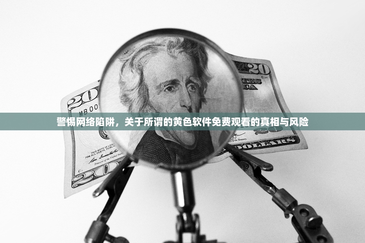 警惕网络陷阱，关于所谓的黄色软件免费观看的真相与风险