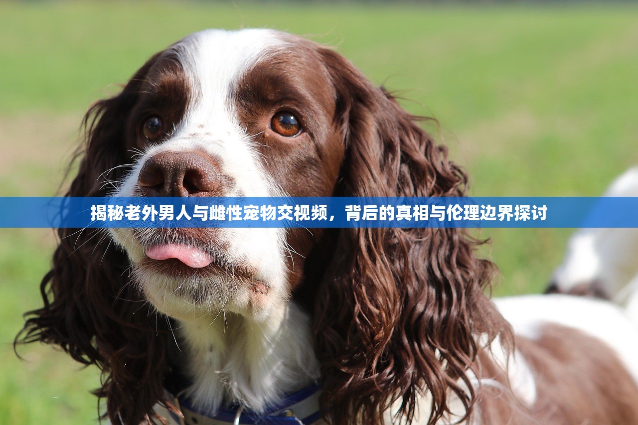揭秘老外男人与雌性宠物交视频，背后的真相与伦理边界探讨