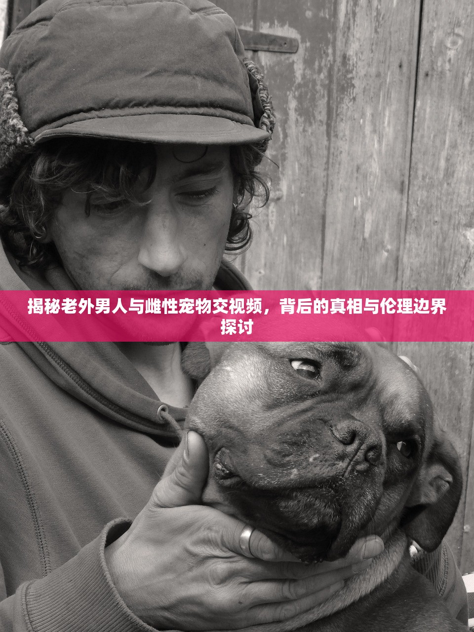 揭秘老外男人与雌性宠物交视频，背后的真相与伦理边界探讨