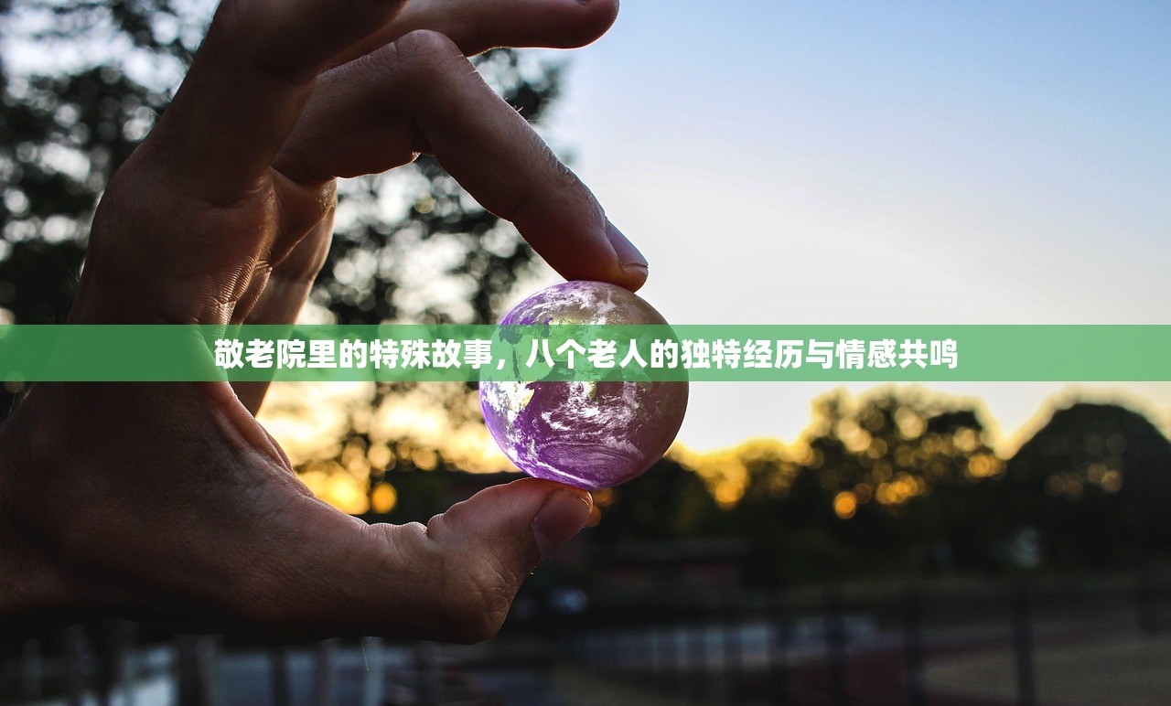 敬老院里的特殊故事，八个老人的独特经历与情感共鸣