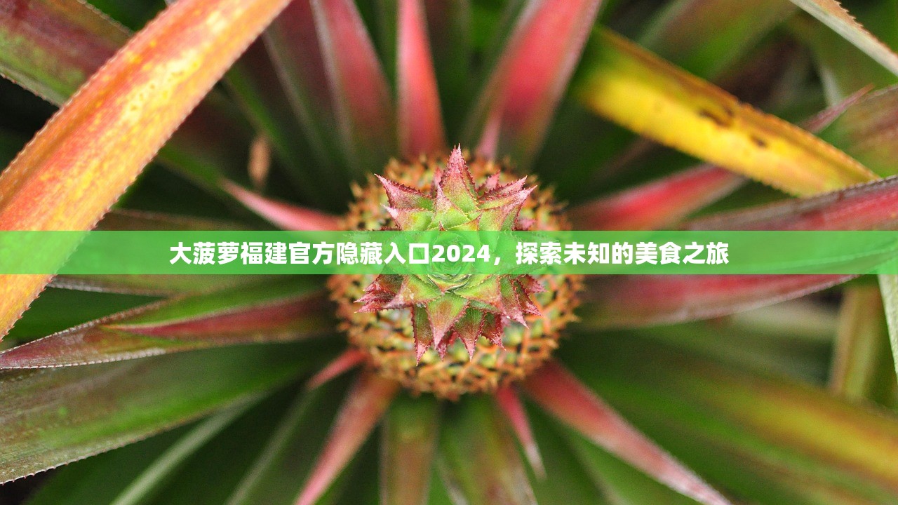 大菠萝福建官方隐藏入口2024，探索未知的美食之旅