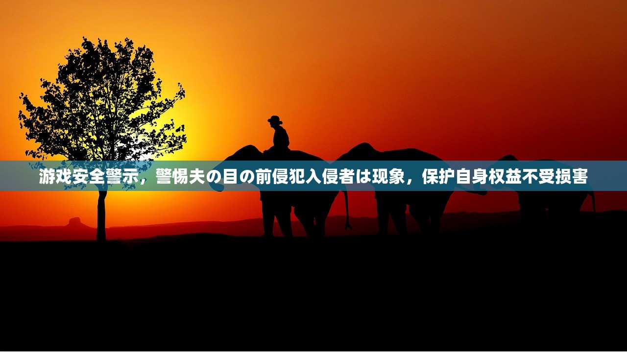 游戏安全警示，警惕夫の目の前侵犯入侵者は现象，保护自身权益不受损害