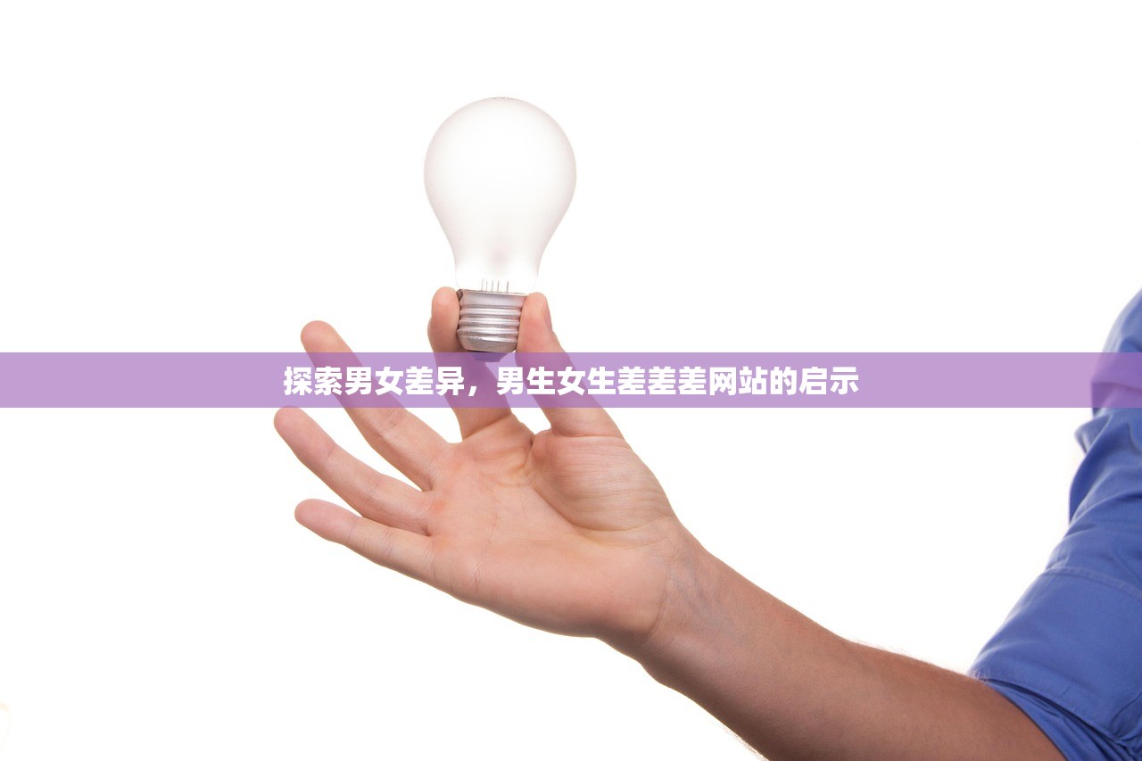 探索男女差异，男生女生差差差网站的启示