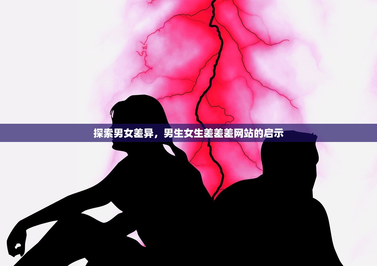 探索男女差异，男生女生差差差网站的启示