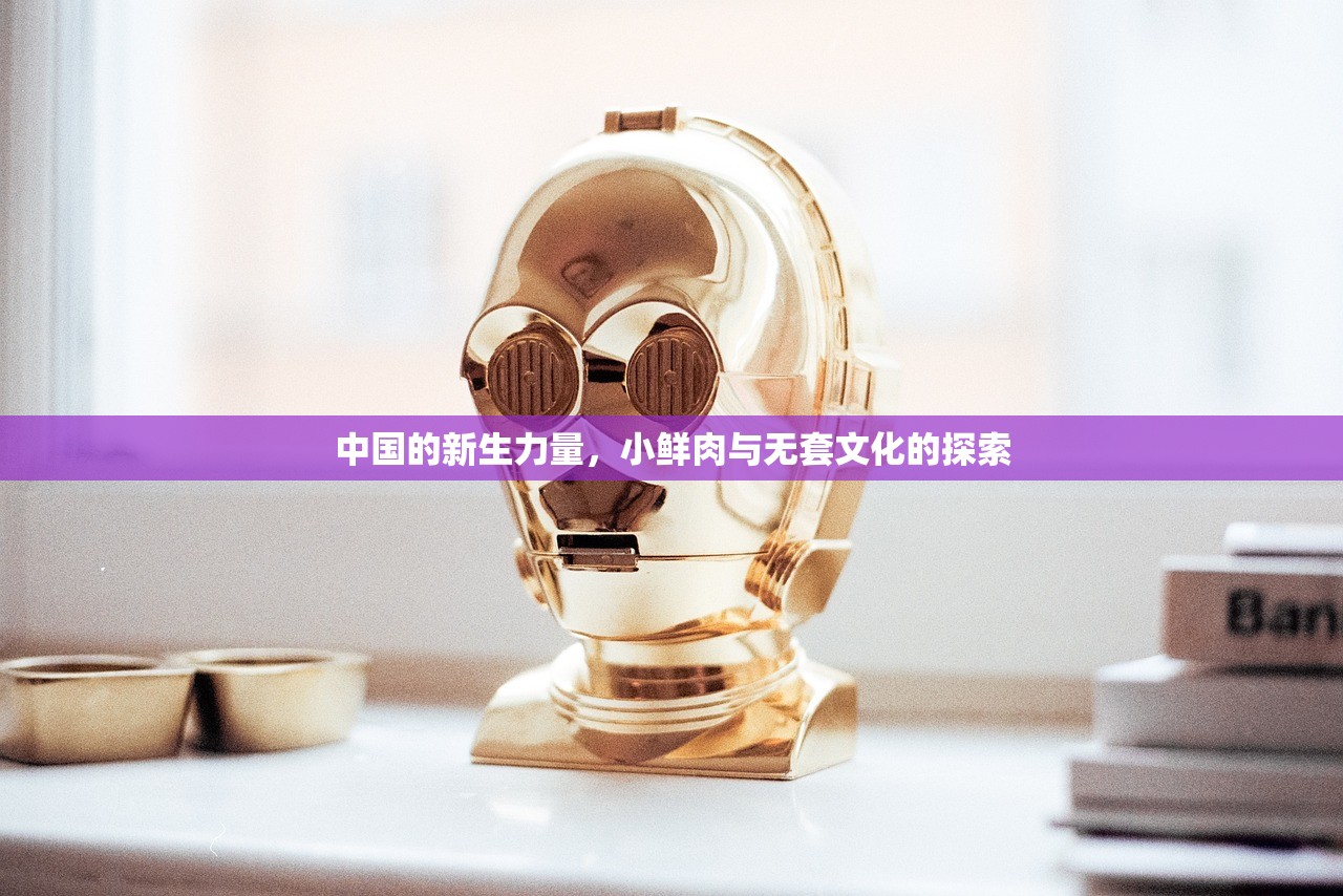 中国的新生力量，小鲜肉与无套文化的探索
