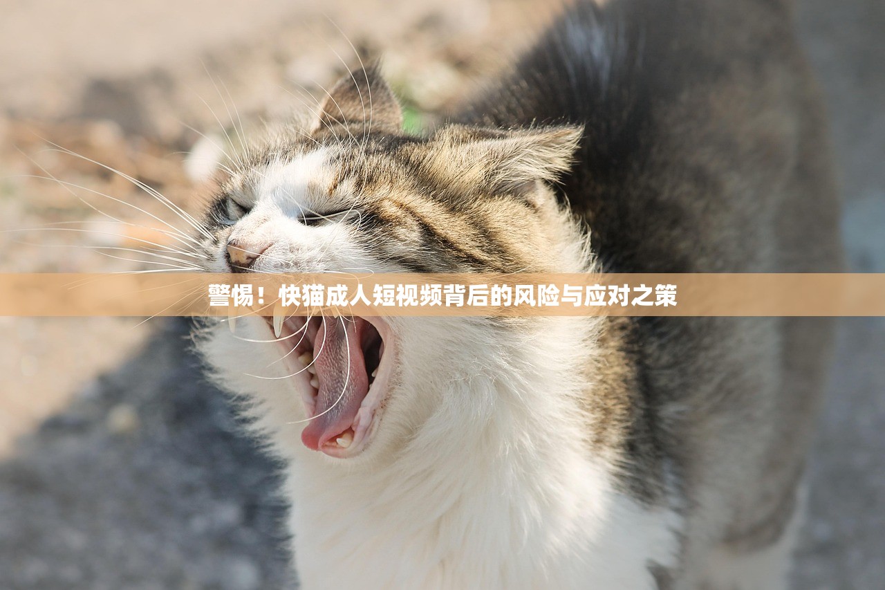 警惕！快猫成人短视频背后的风险与应对之策