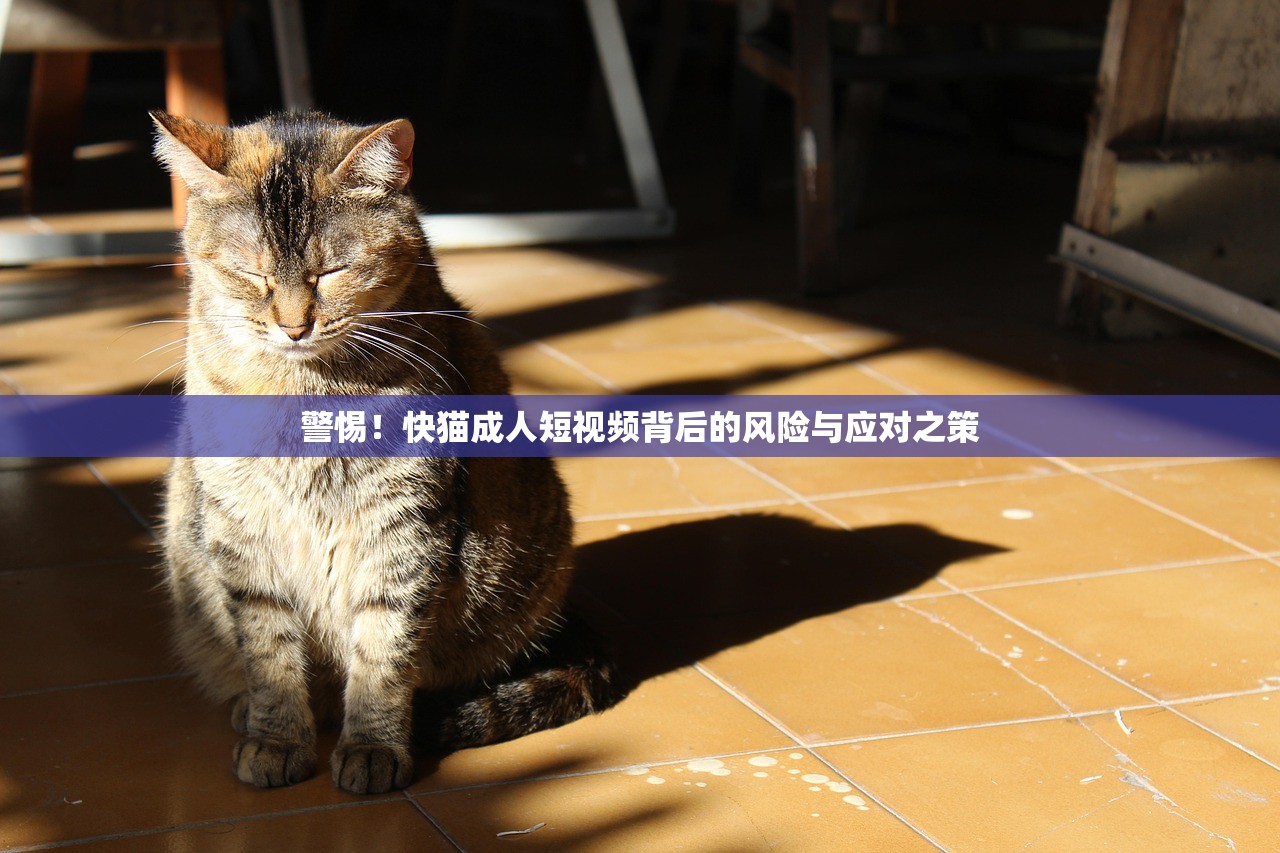 警惕！快猫成人短视频背后的风险与应对之策