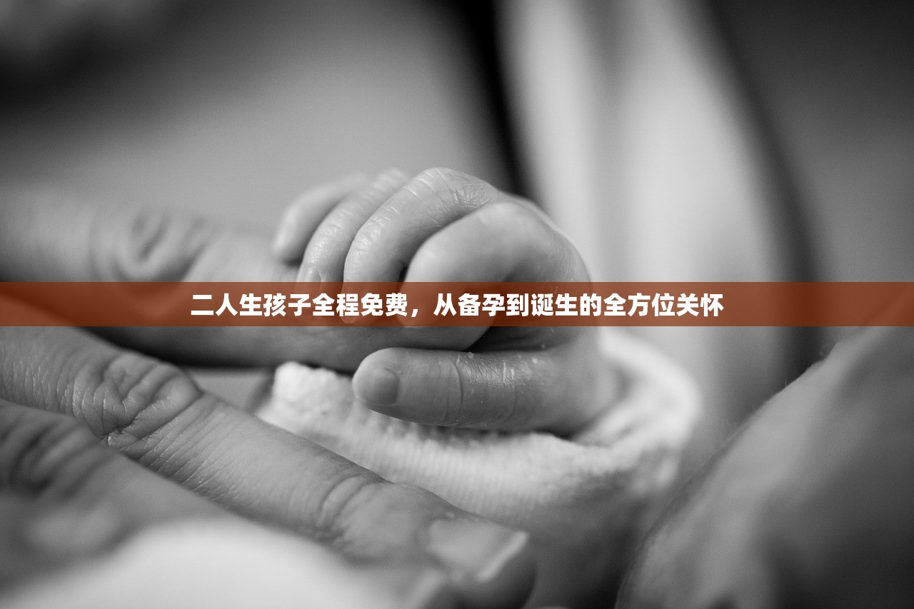 二人生孩子全程免费，从备孕到诞生的全方位关怀