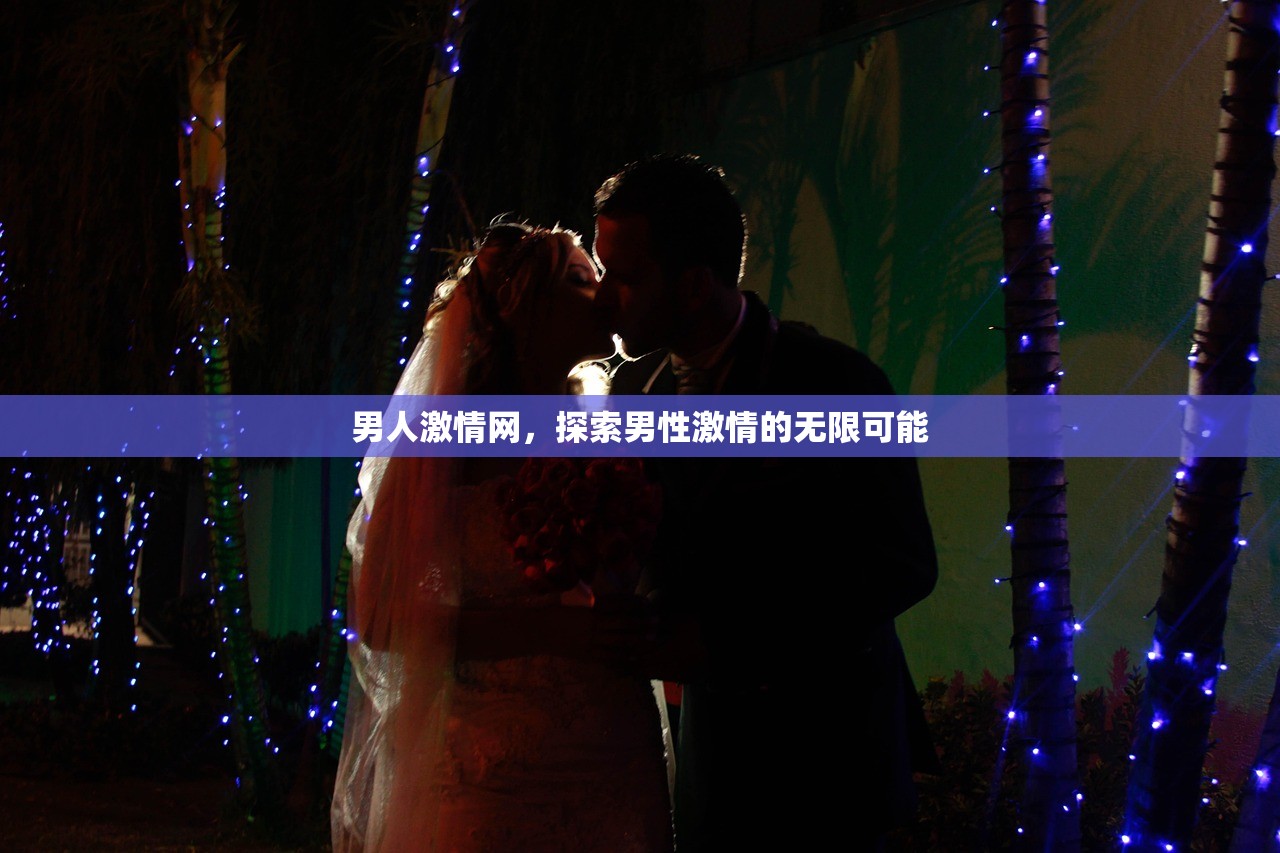 男人激情网，探索男性激情的无限可能