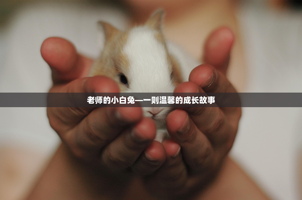 老师的小白兔—一则温馨的成长故事