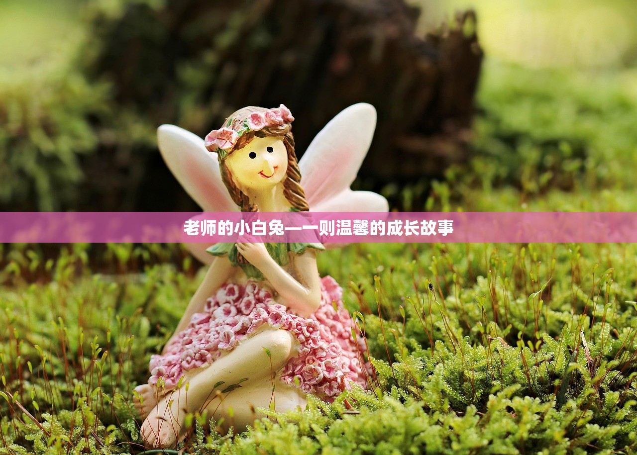 老师的小白兔—一则温馨的成长故事