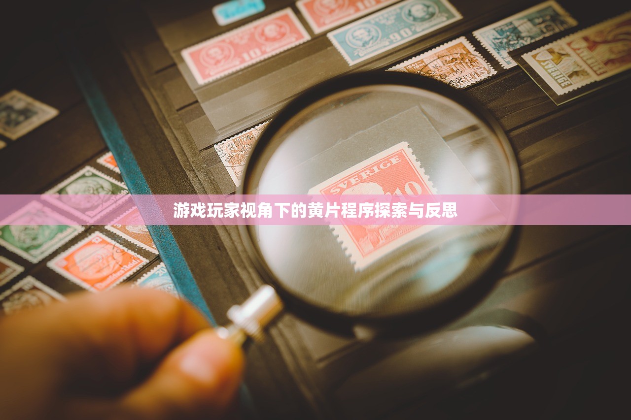 游戏玩家视角下的黄片程序探索与反思