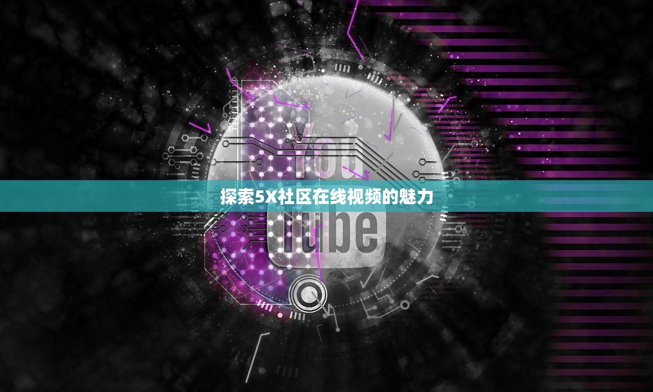 探索5X社区在线视频的魅力