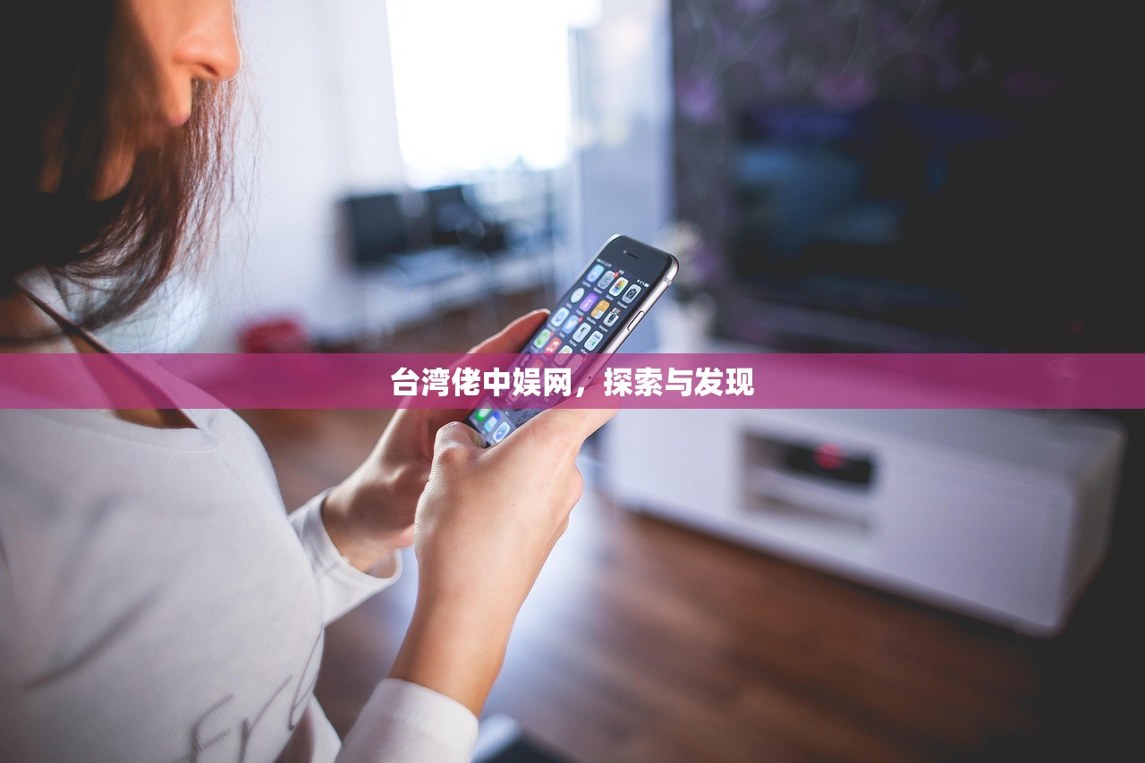 台湾佬中娱网，探索与发现