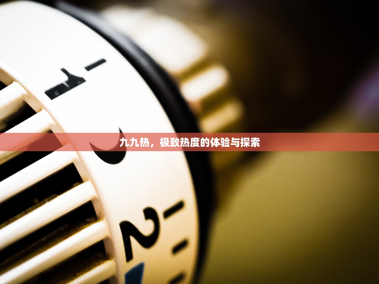 九九热，极致热度的体验与探索