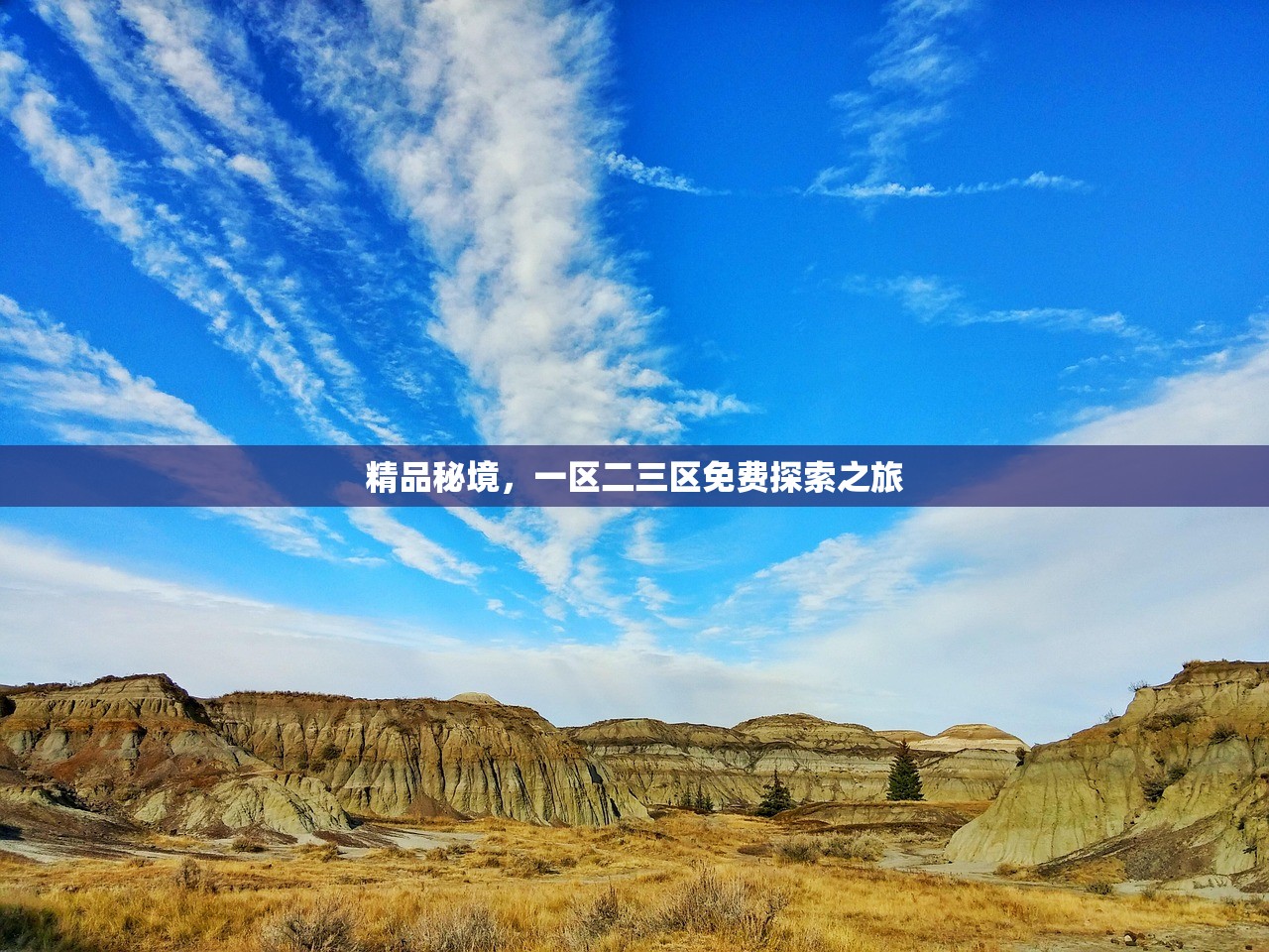 精品秘境，一区二三区免费探索之旅