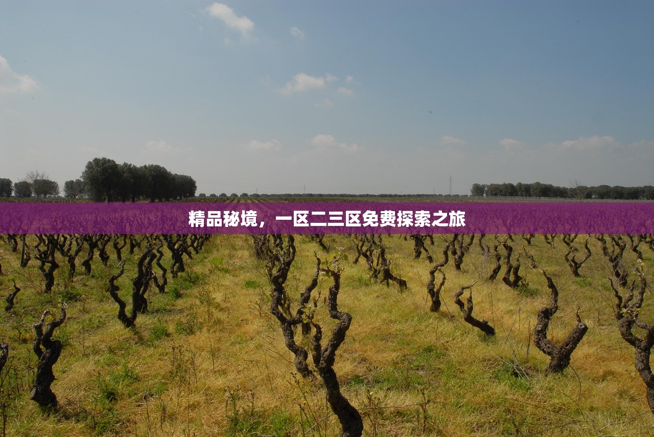 精品秘境，一区二三区免费探索之旅