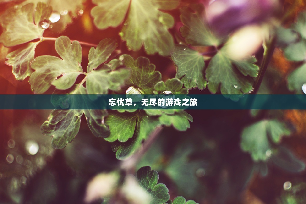 忘忧草，无尽的游戏之旅