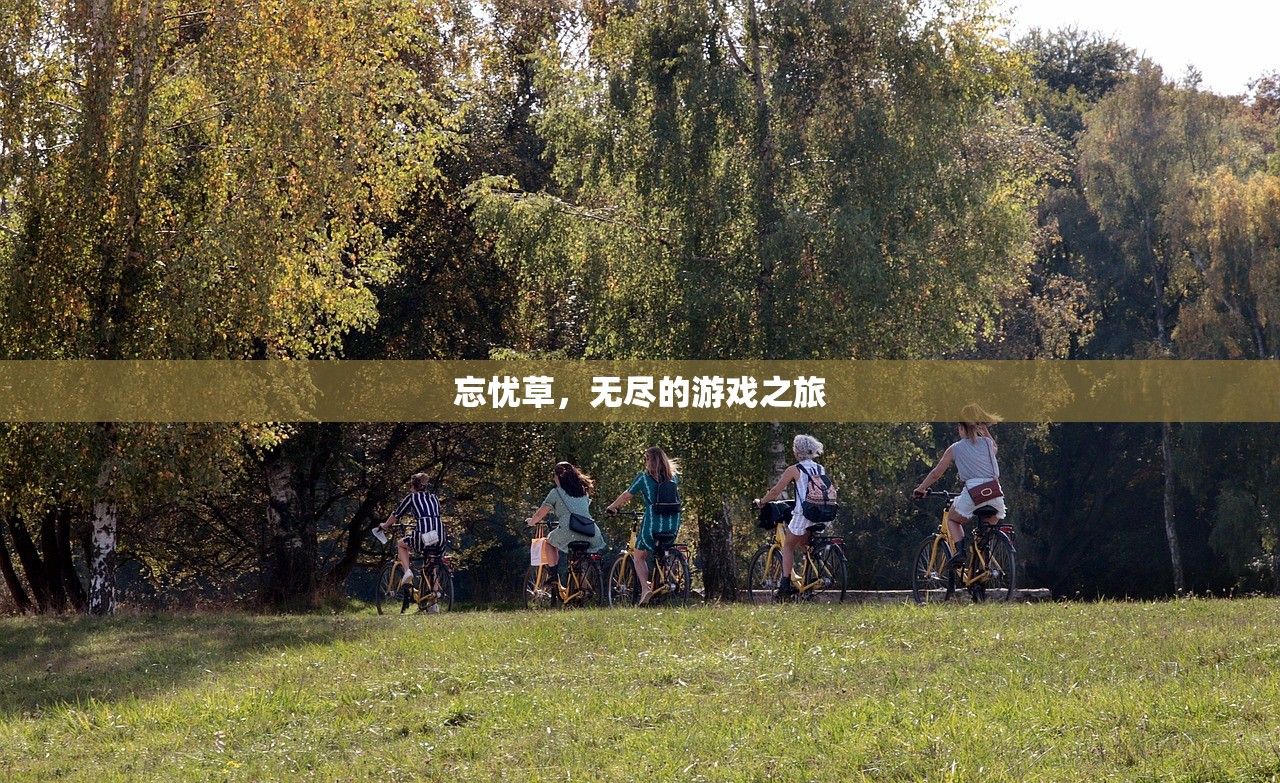 忘忧草，无尽的游戏之旅